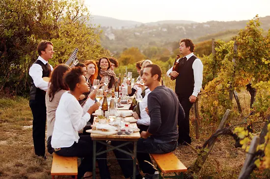 Vienna: vineyard, Wieninger am Nussberg 