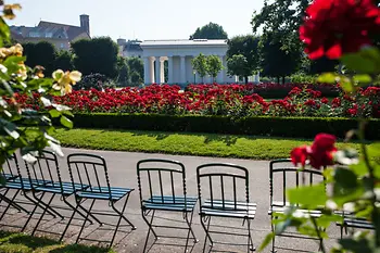 Rose bed in the Volksgarten