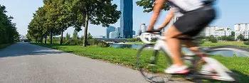 Cyclists on the Danube Island