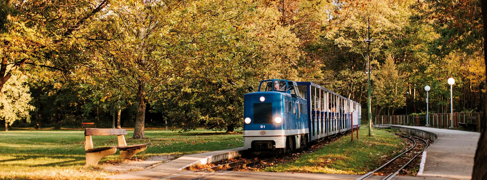 Tree-lined allee in the Prater