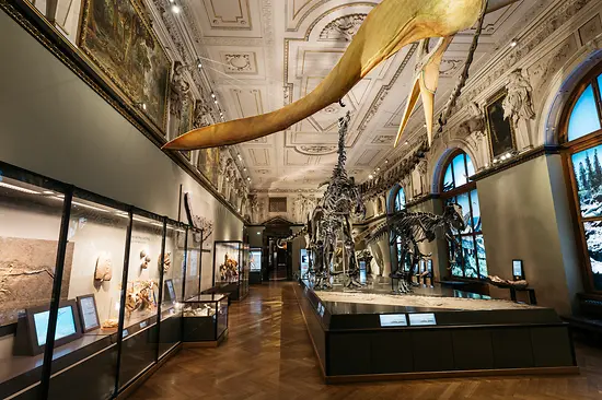 Naturhistorisches Museum Viena (Museo de Historia Natural), sala de los dinosaurios