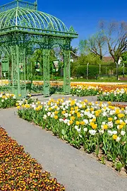 Blooming flowers in Hirschstetten 