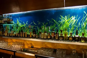 Primera planta de un bar de coktail