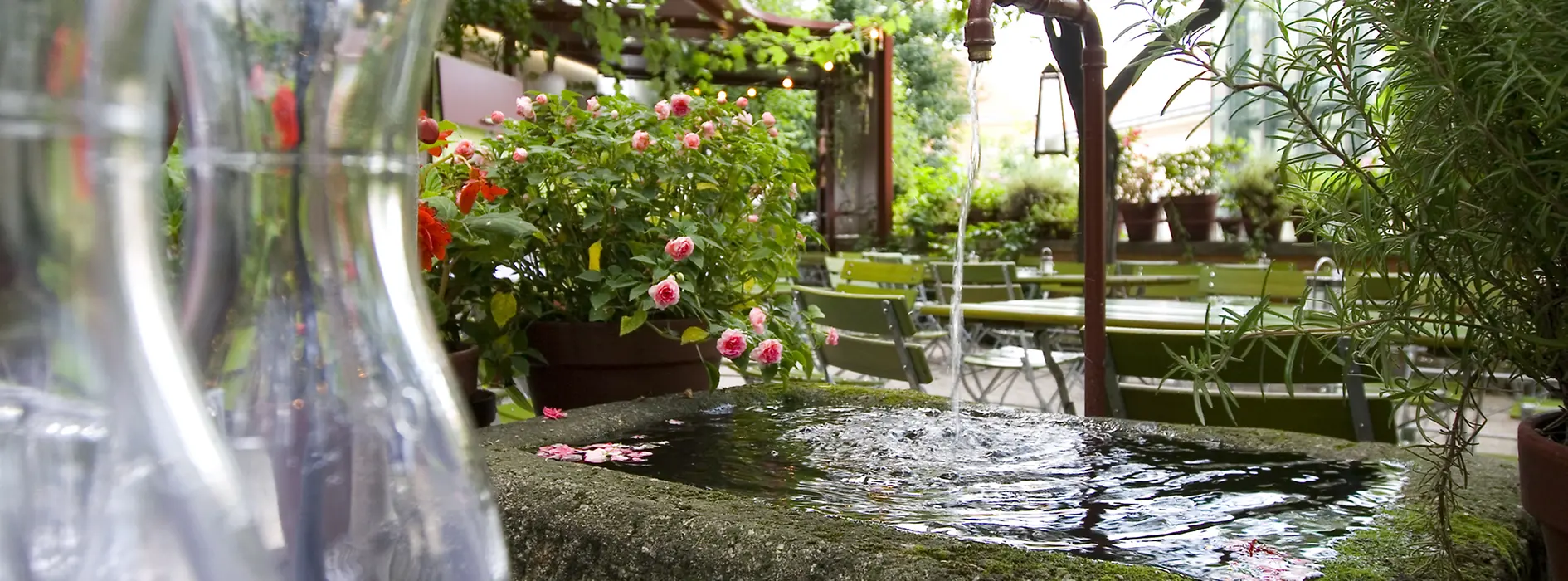 Garden at Glacis Beisl