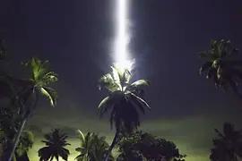 Artwork by Julius von Bismarck, Talking to Thunder (Palm Tree), 2017