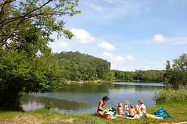 Natural bathing area in the Lobau 